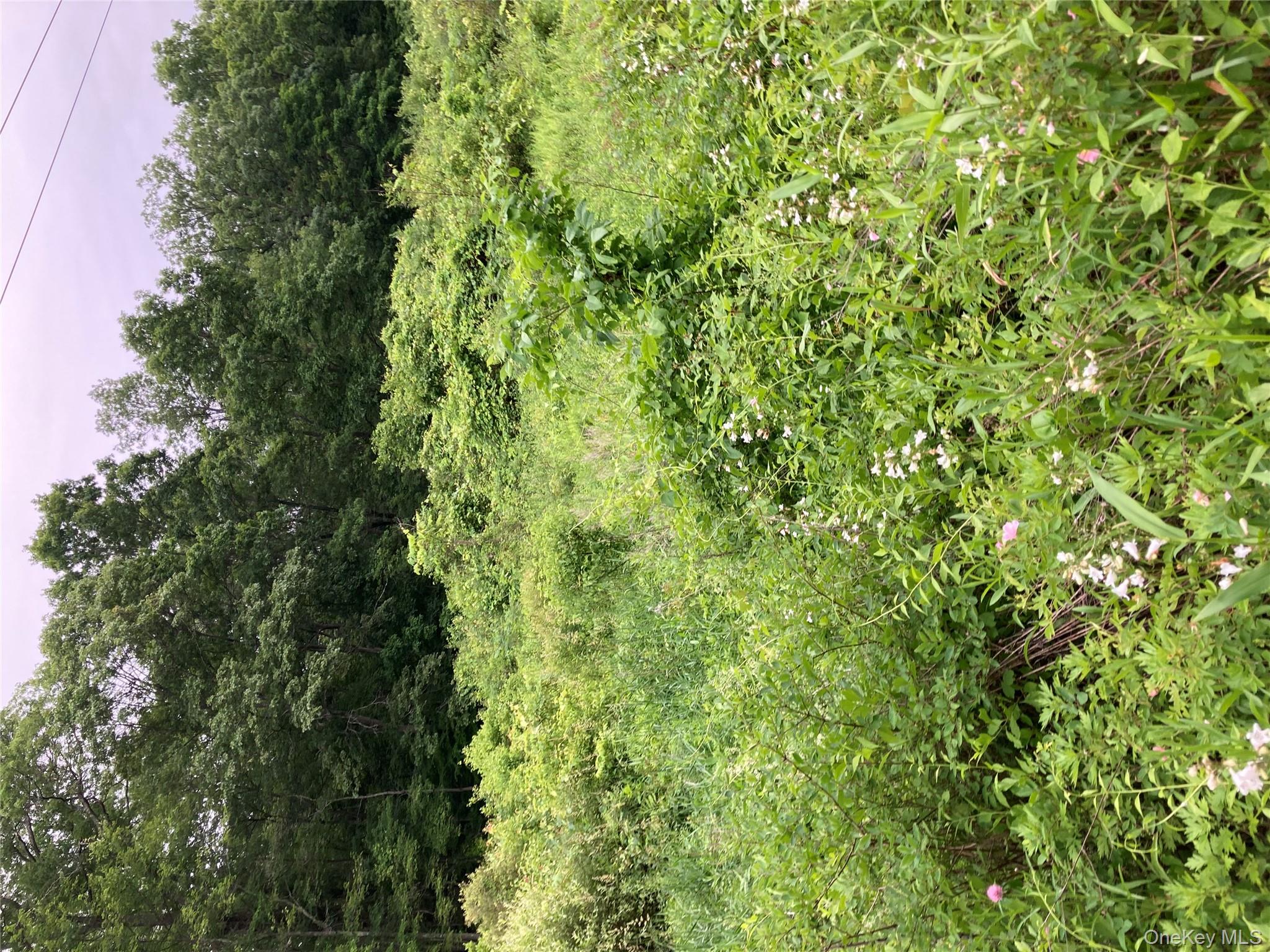 #5 photo, Baxtertown Road, Fishkill , NY 12524