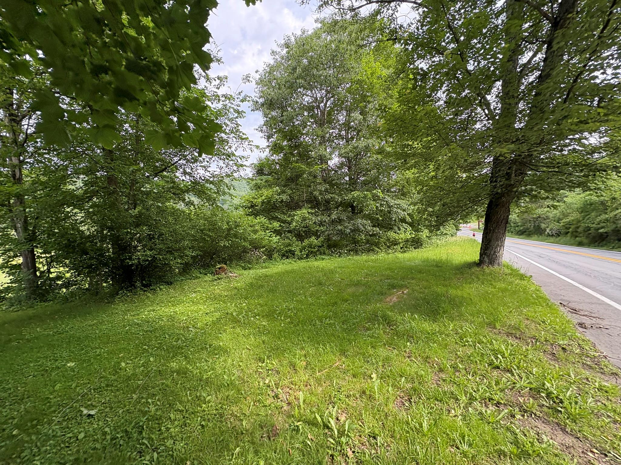 #7 photo, 13 Rockland Road, Roscoe , NY 12776