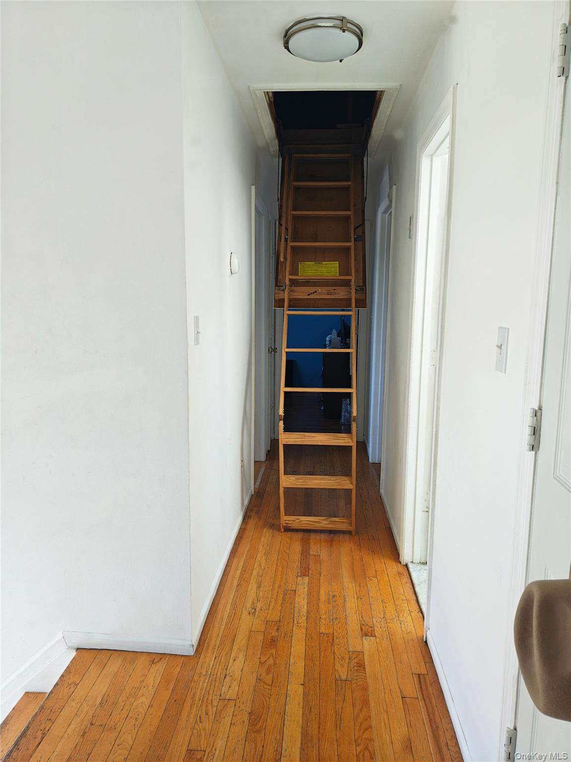 #19 photo, 1056 E Arthur Street, ナッソー郡 Uniondale , NY 11553