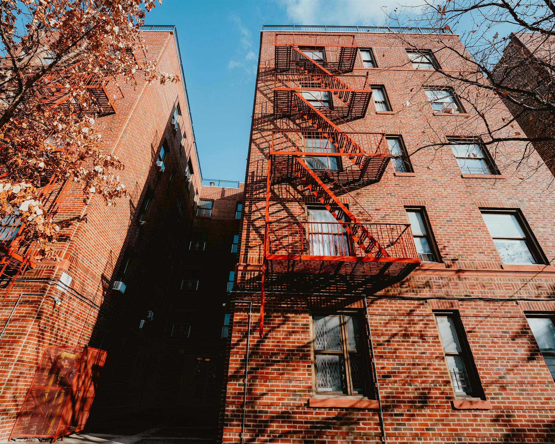 #3 photo, 1534 Beach Avenue, ブロンクス区 Bronx , NY 10460