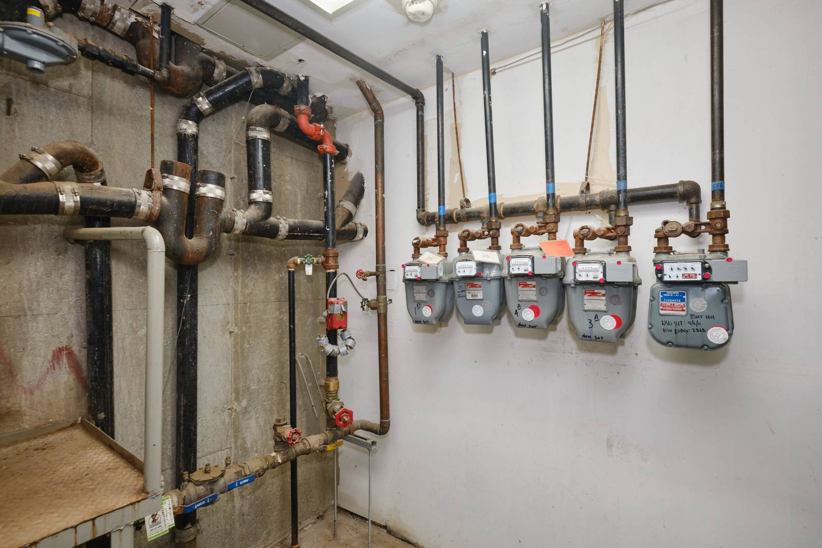 #10 photo, 133-40 37th Ave, クイーンズ区 Flushing , NY 11354