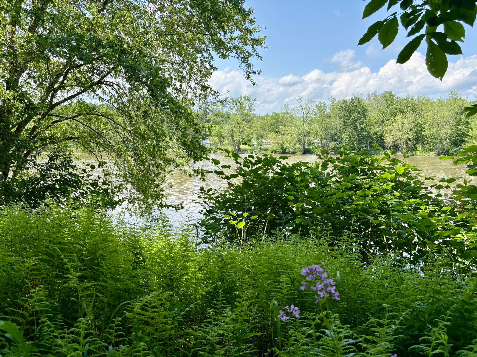 #2 photo, 245 Mountain Rd, Windsor , NY 13865