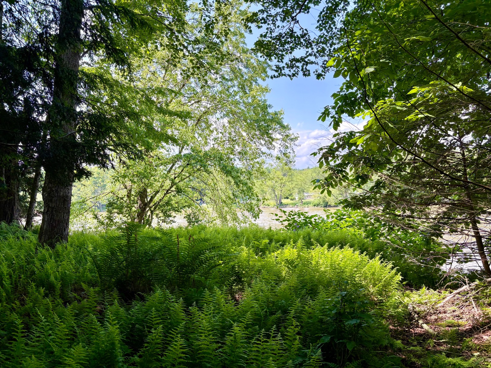 #7 photo, 245 Mountain Rd, Windsor , NY 13865