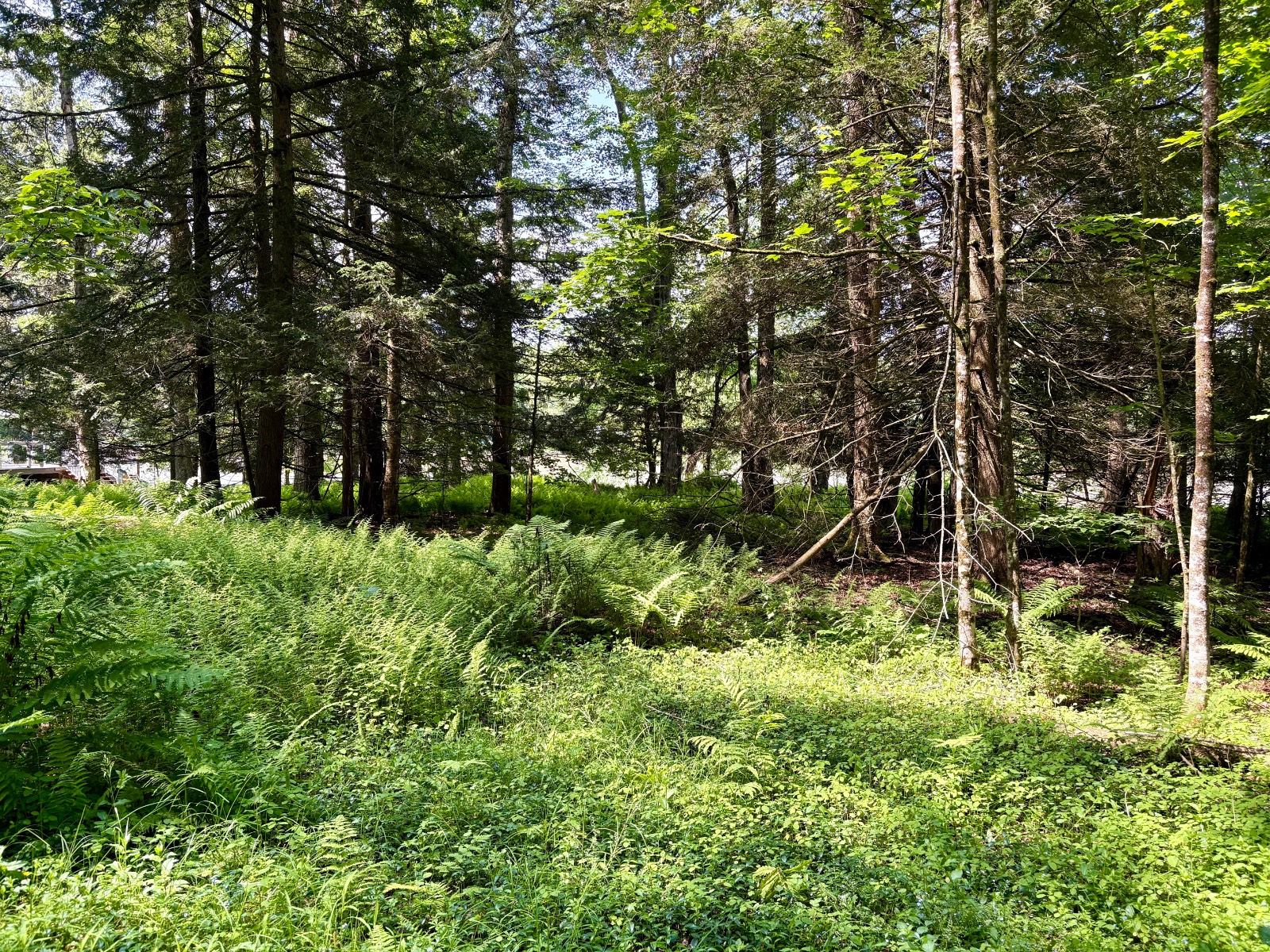 #8 photo, 245 Mountain Rd, Windsor , NY 13865