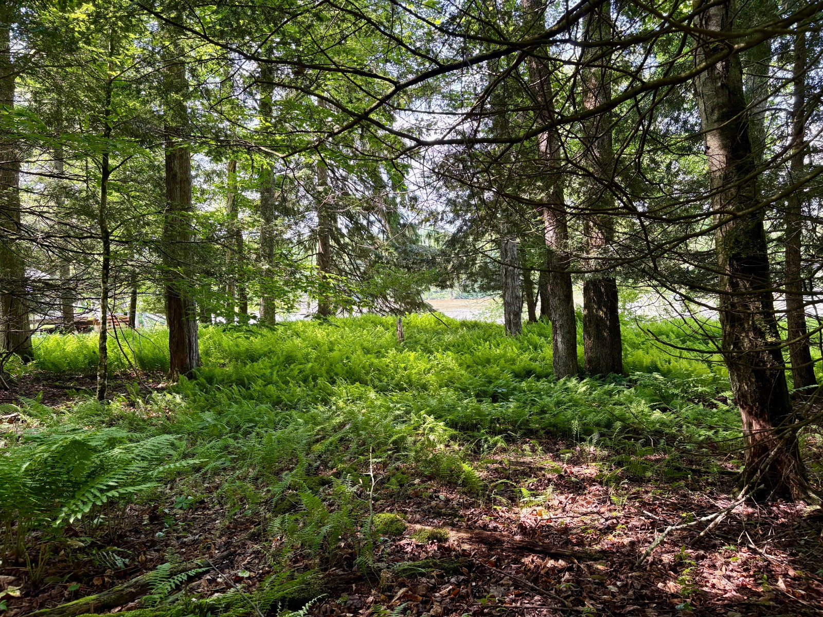 #9 photo, 245 Mountain Rd, Windsor , NY 13865