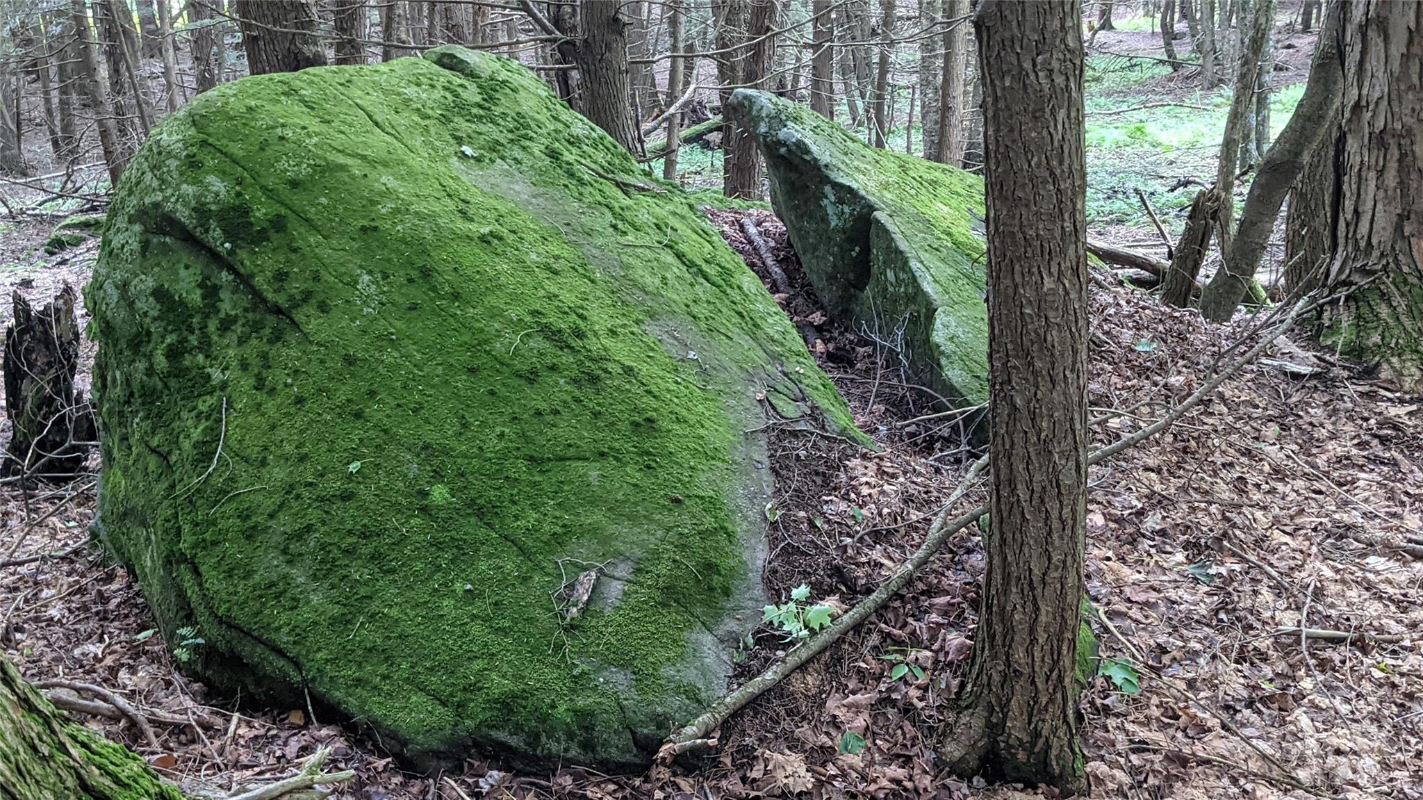 #11 photo, John Bishop Road, Swan Lake , NY 12783