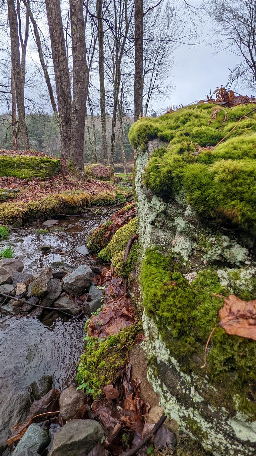 #12 photo, John Bishop Road, Swan Lake , NY 12783