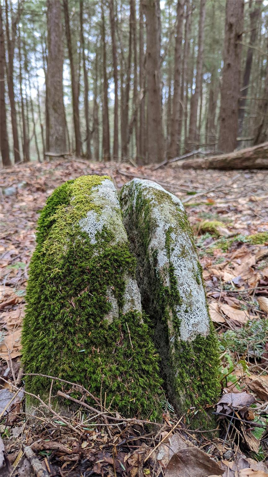 #14 photo, John Bishop Road, Swan Lake , NY 12783