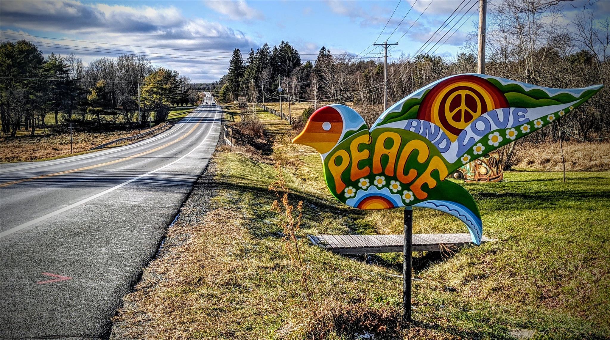 #15 photo, John Bishop Road, Swan Lake , NY 12783