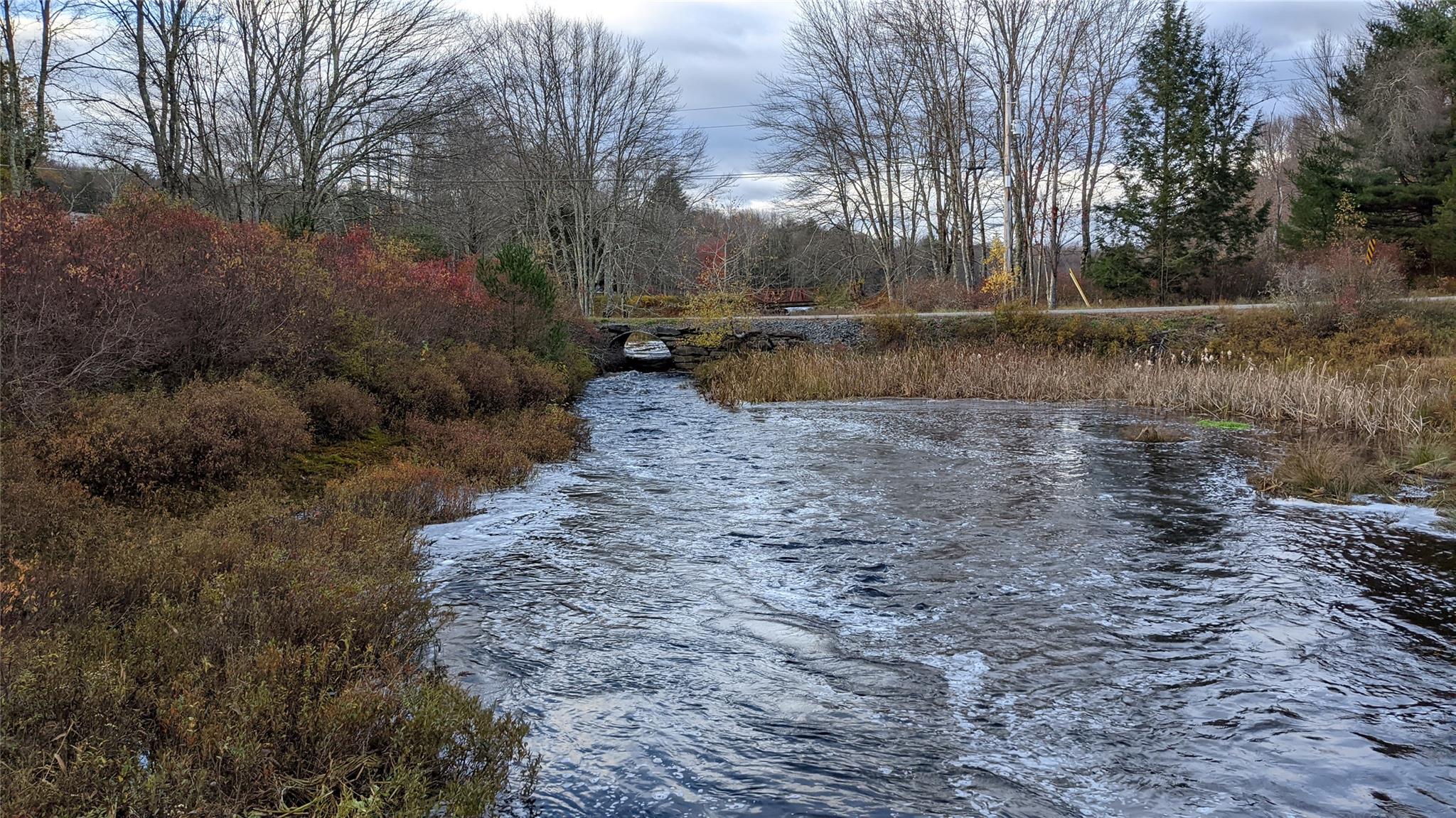 #3 photo, John Bishop Road, Swan Lake , NY 12783