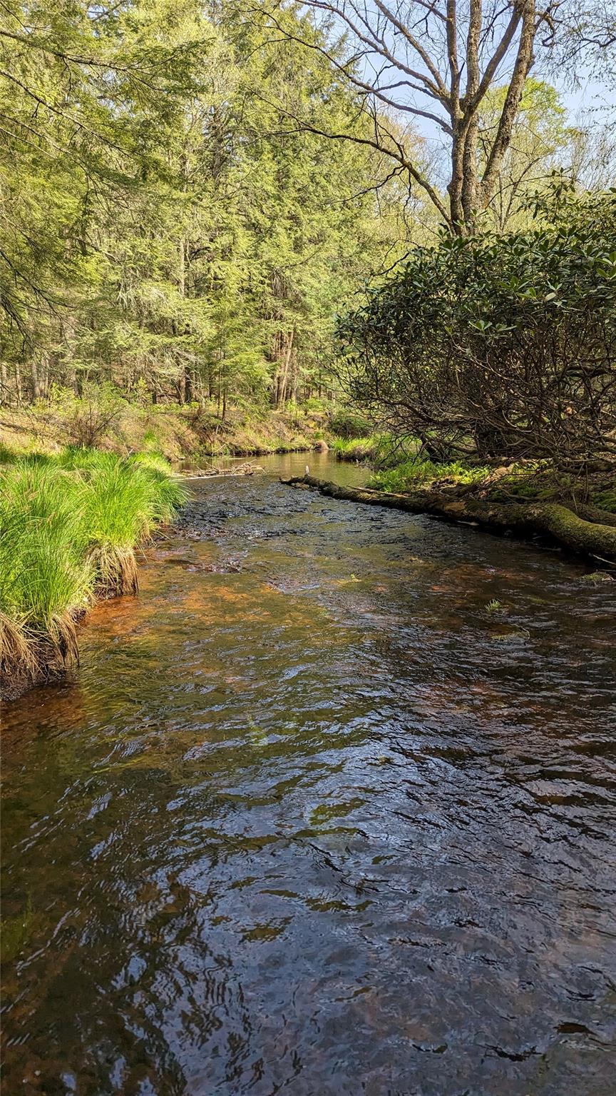 #4 photo, John Bishop Road, Swan Lake , NY 12783