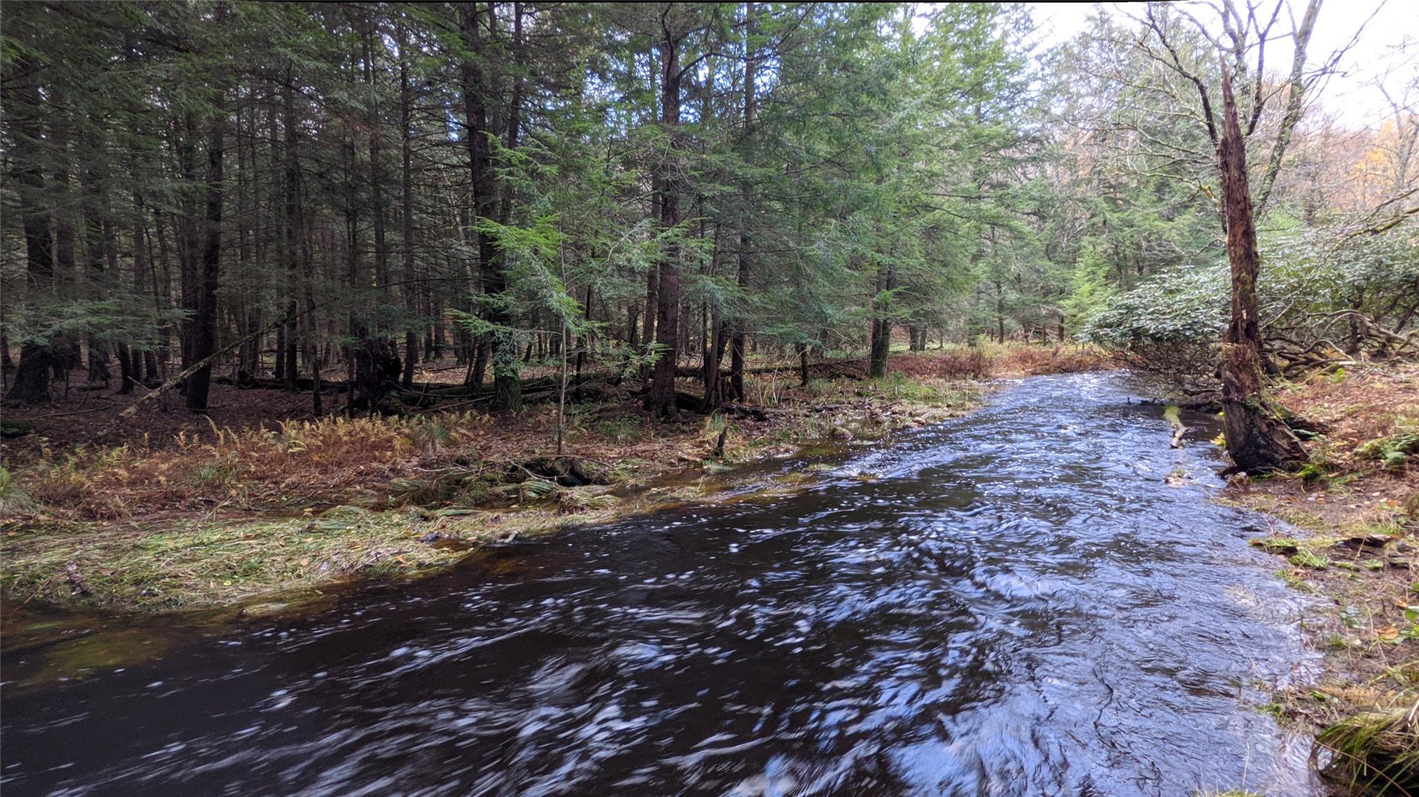 #5 photo, John Bishop Road, Swan Lake , NY 12783