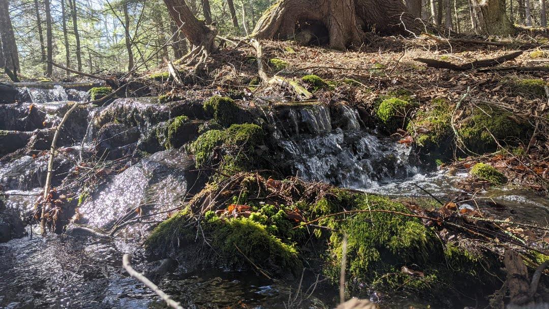 #6 photo, John Bishop Road, Swan Lake , NY 12783