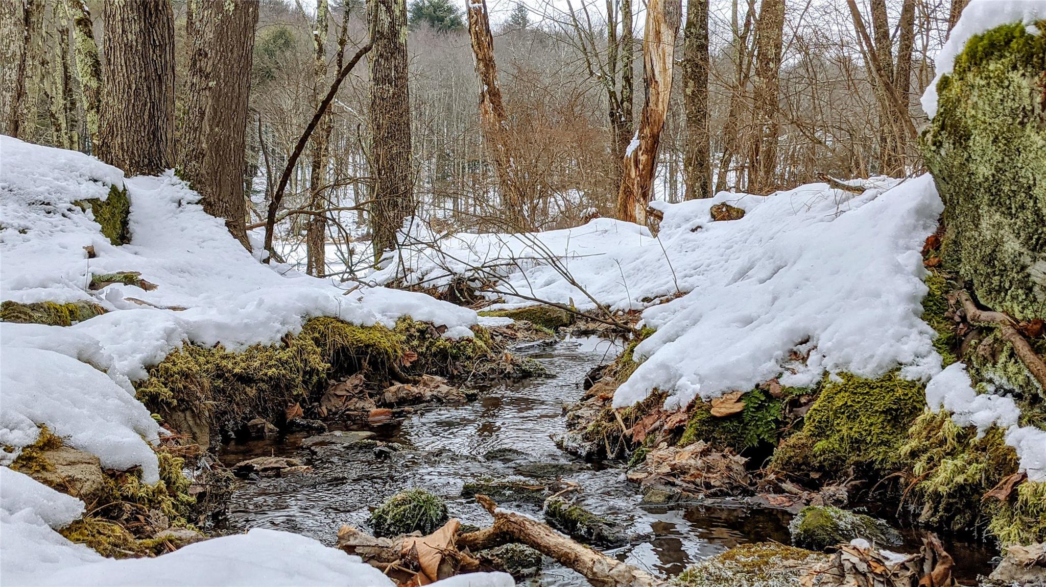 #7 photo, John Bishop Road, Swan Lake , NY 12783