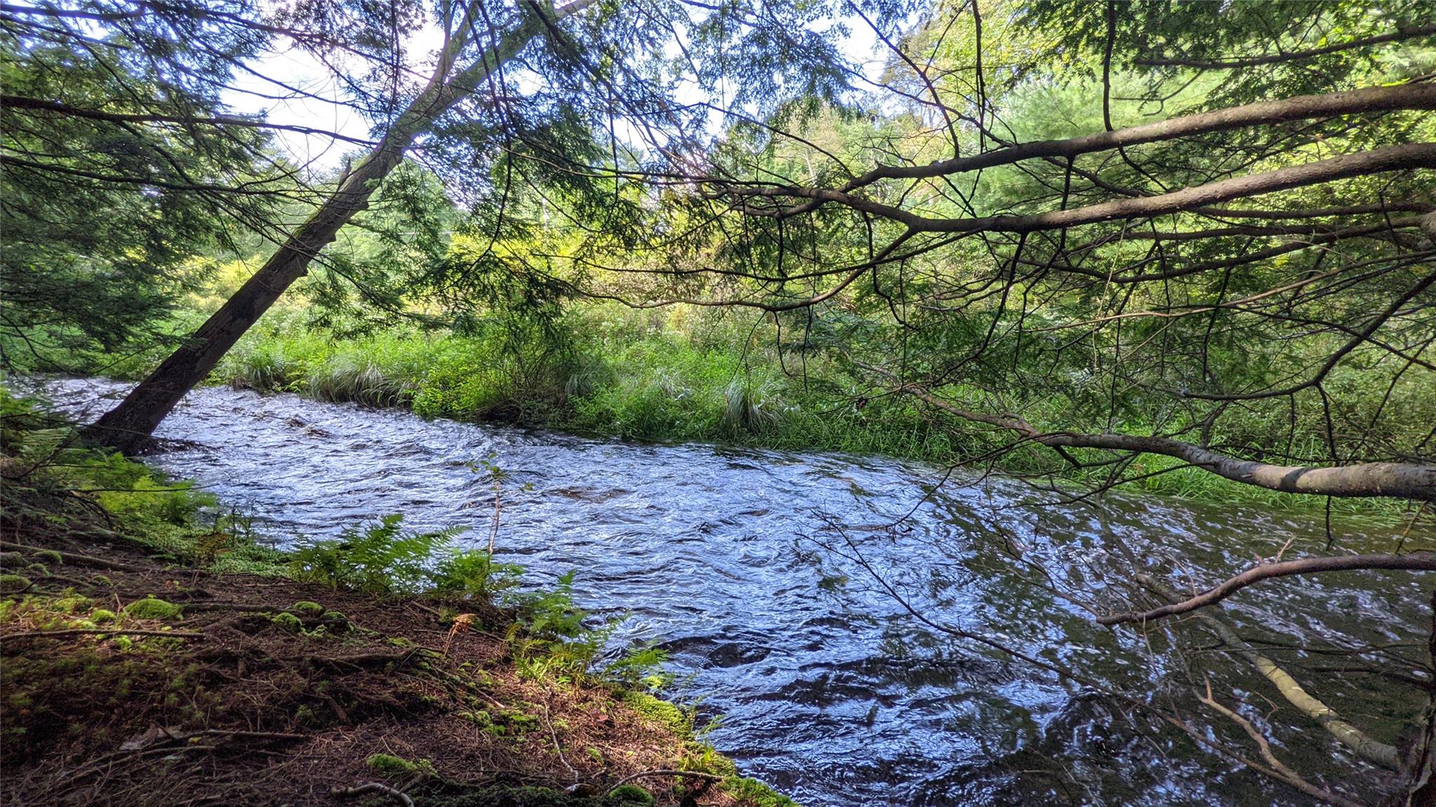 #8 photo, John Bishop Road, Swan Lake , NY 12783