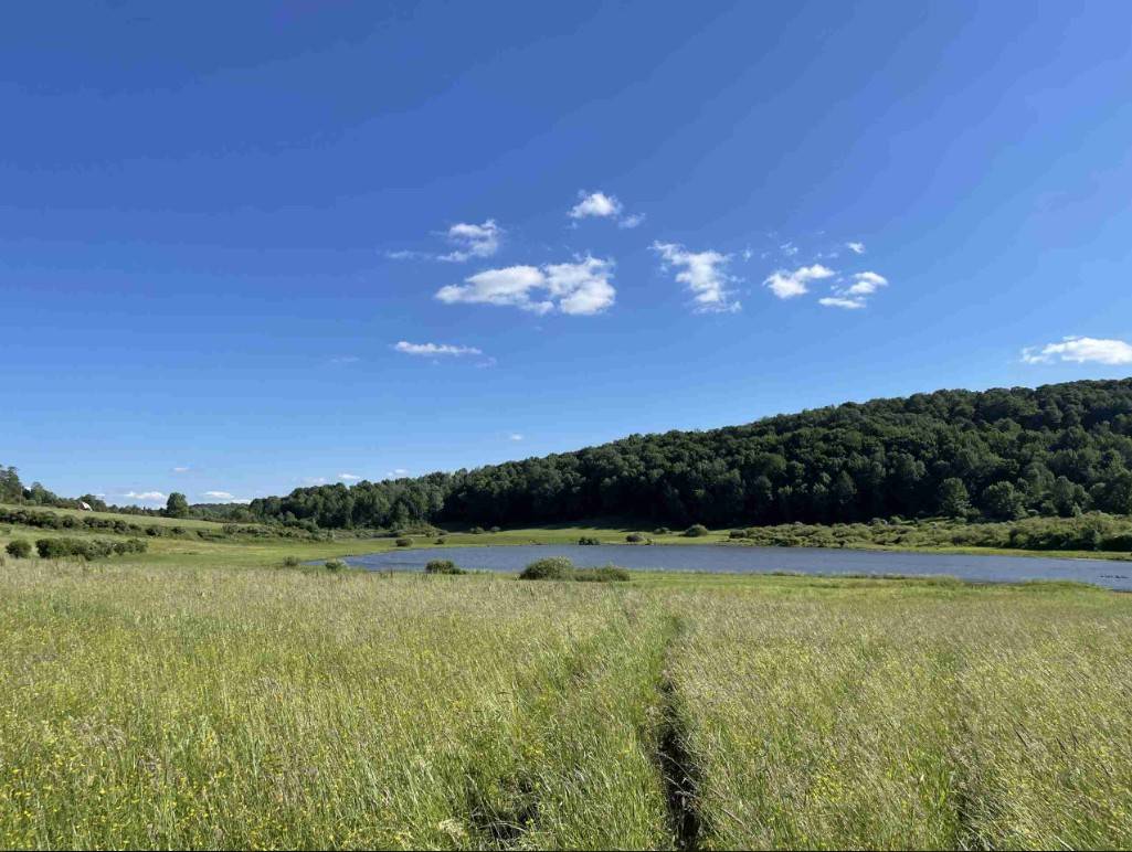 #10 photo, 233 Casey Cheese Factory Road, Sherburne , NY 13460