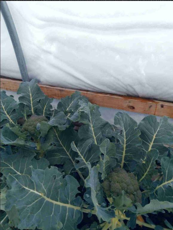 #15 photo, 233 Casey Cheese Factory Road, Sherburne , NY 13460