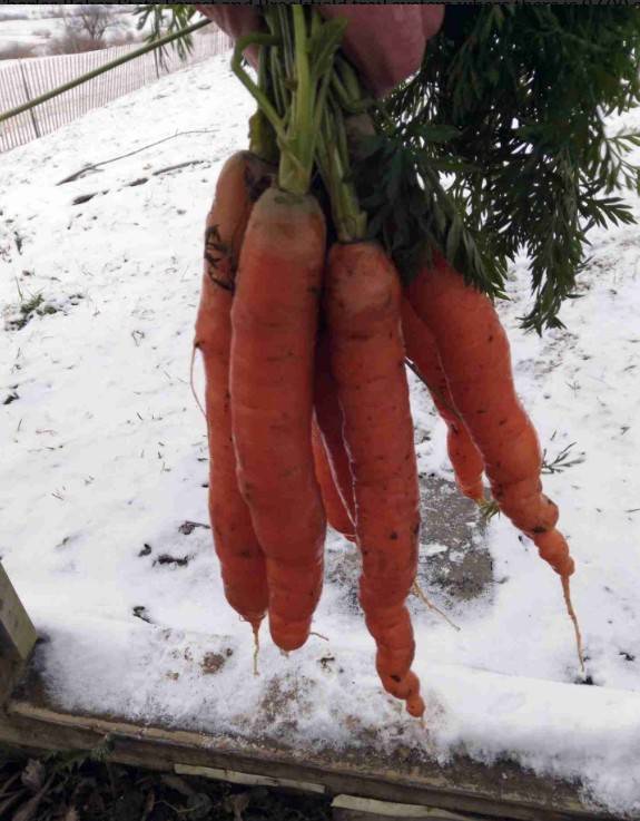 #16 photo, 233 Casey Cheese Factory Road, Sherburne , NY 13460