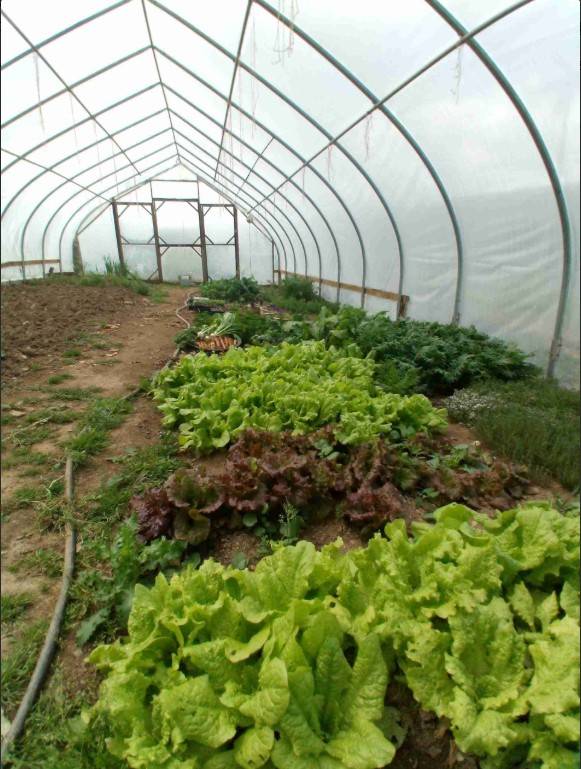 #17 photo, 233 Casey Cheese Factory Road, Sherburne , NY 13460