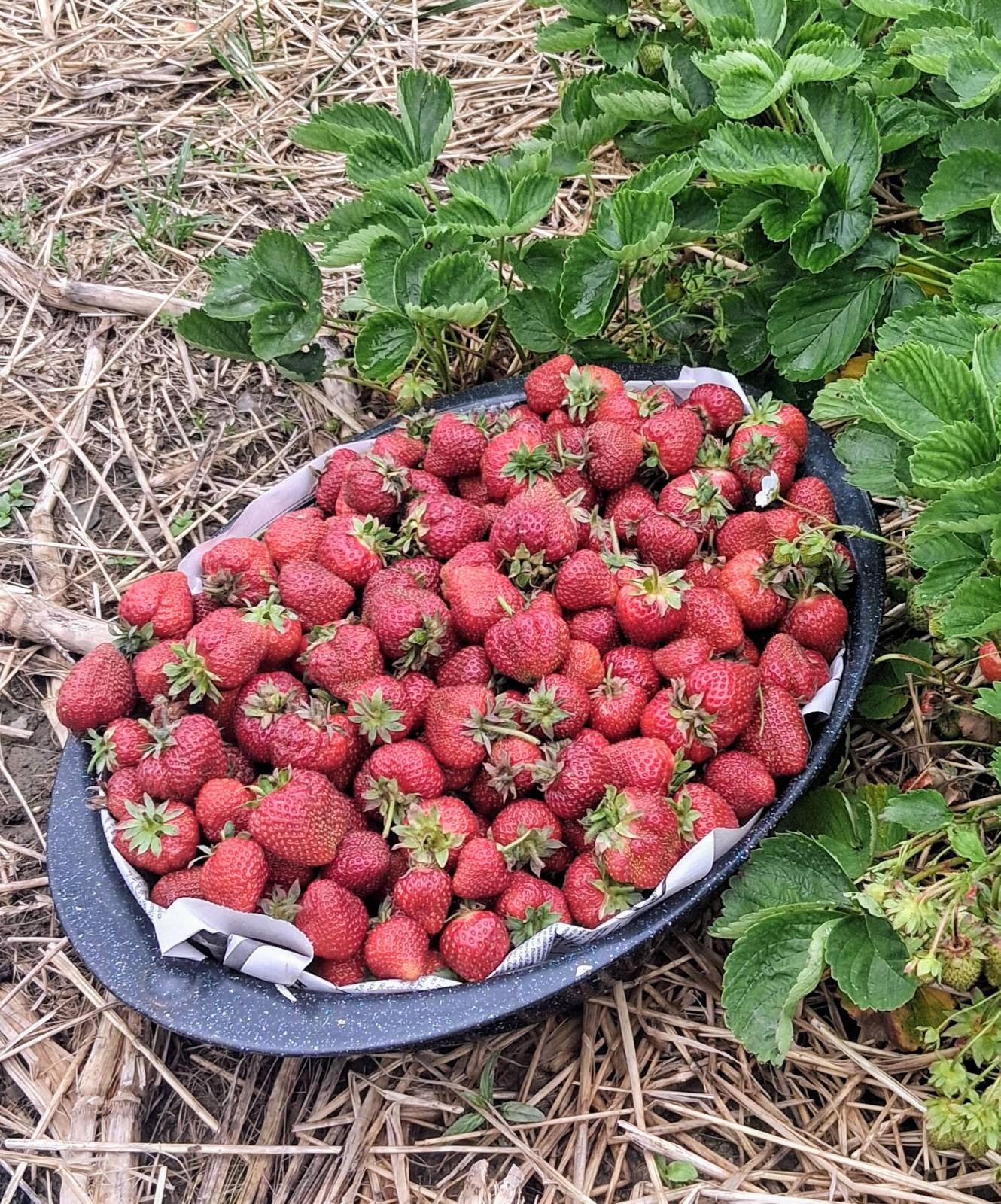 #18 photo, 233 Casey Cheese Factory Road, Sherburne , NY 13460