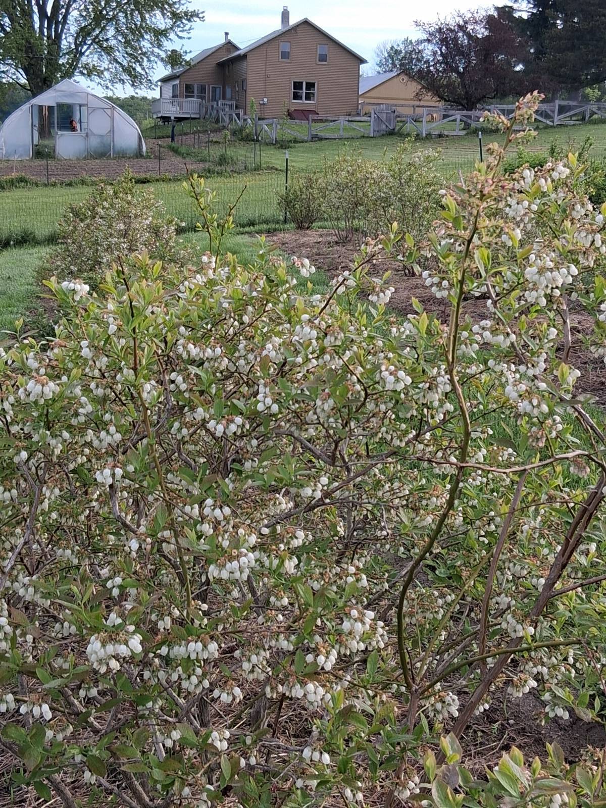 #19 photo, 233 Casey Cheese Factory Road, Sherburne , NY 13460