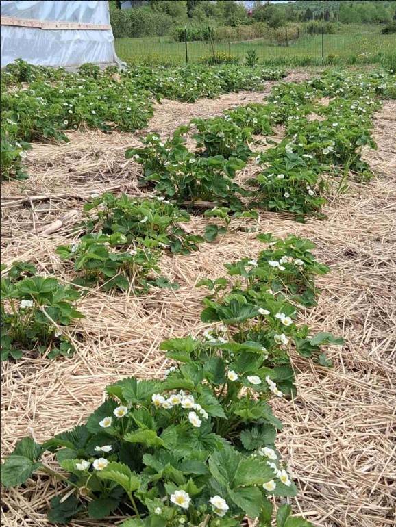 #20 photo, 233 Casey Cheese Factory Road, Sherburne , NY 13460