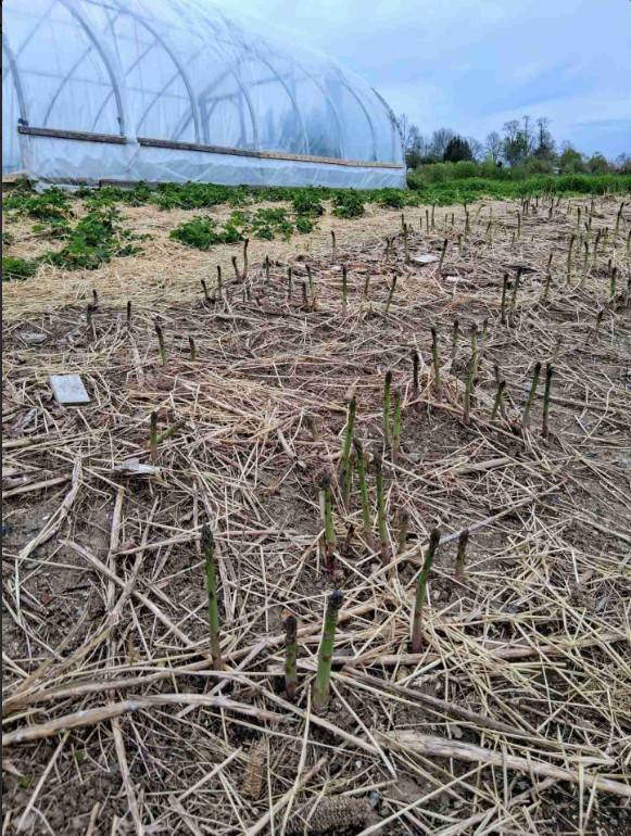 #21 photo, 233 Casey Cheese Factory Road, Sherburne , NY 13460