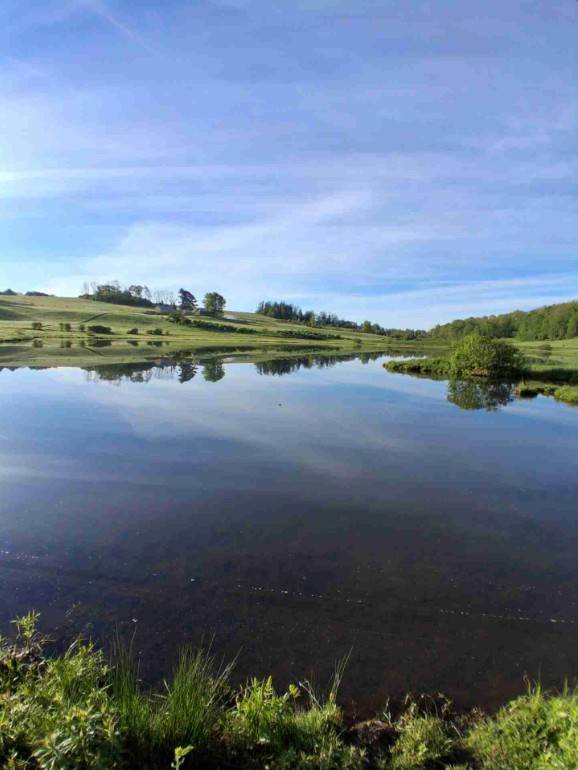 #5 photo, 233 Casey Cheese Factory Road, Sherburne , NY 13460