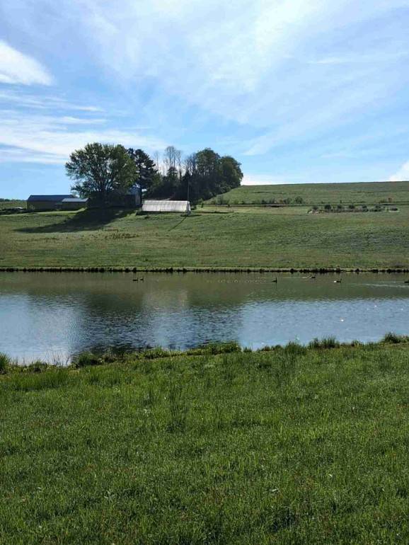 #6 photo, 233 Casey Cheese Factory Road, Sherburne , NY 13460