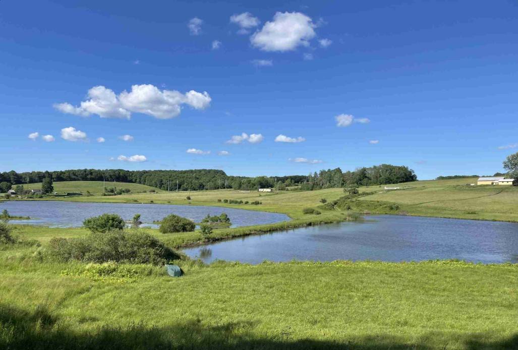 #8 photo, 233 Casey Cheese Factory Road, Sherburne , NY 13460