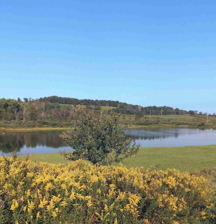 #9 photo, 233 Casey Cheese Factory Road, Sherburne , NY 13460