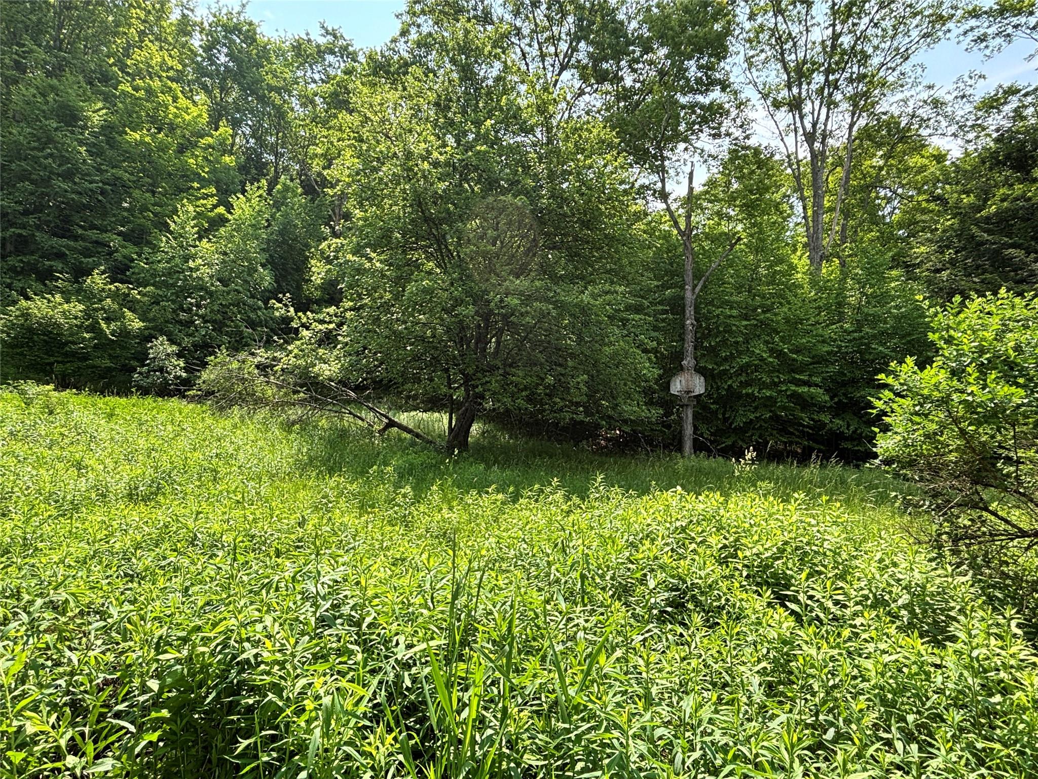 #18 photo, 16 Indian Summer Road, 紐約州 Deposit , NY 13754