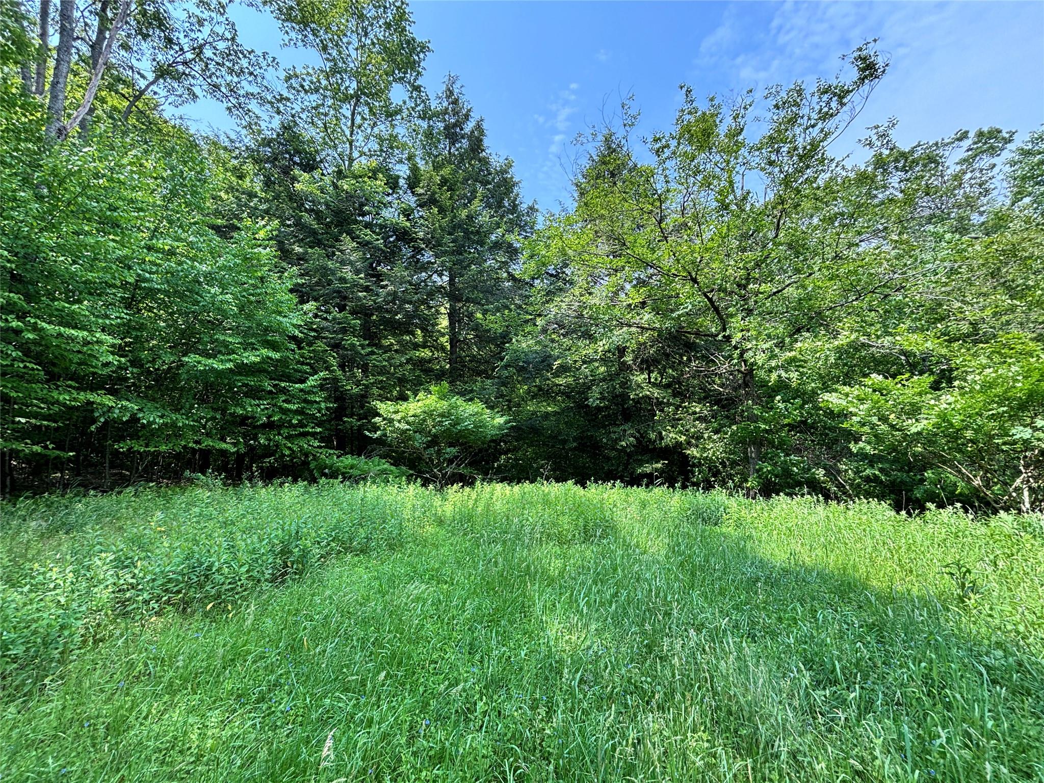 #19 photo, 16 Indian Summer Road, 紐約州 Deposit , NY 13754