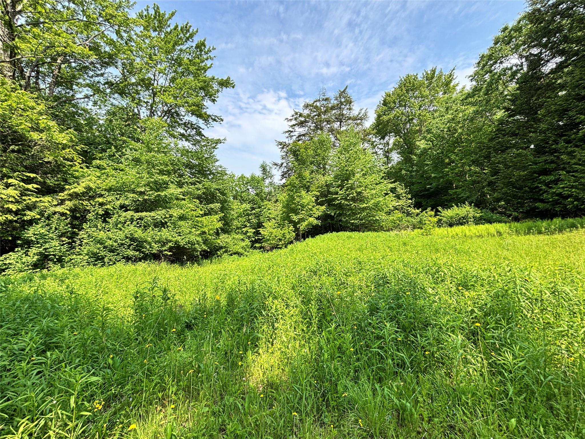 #20 photo, 16 Indian Summer Road, 紐約州 Deposit , NY 13754