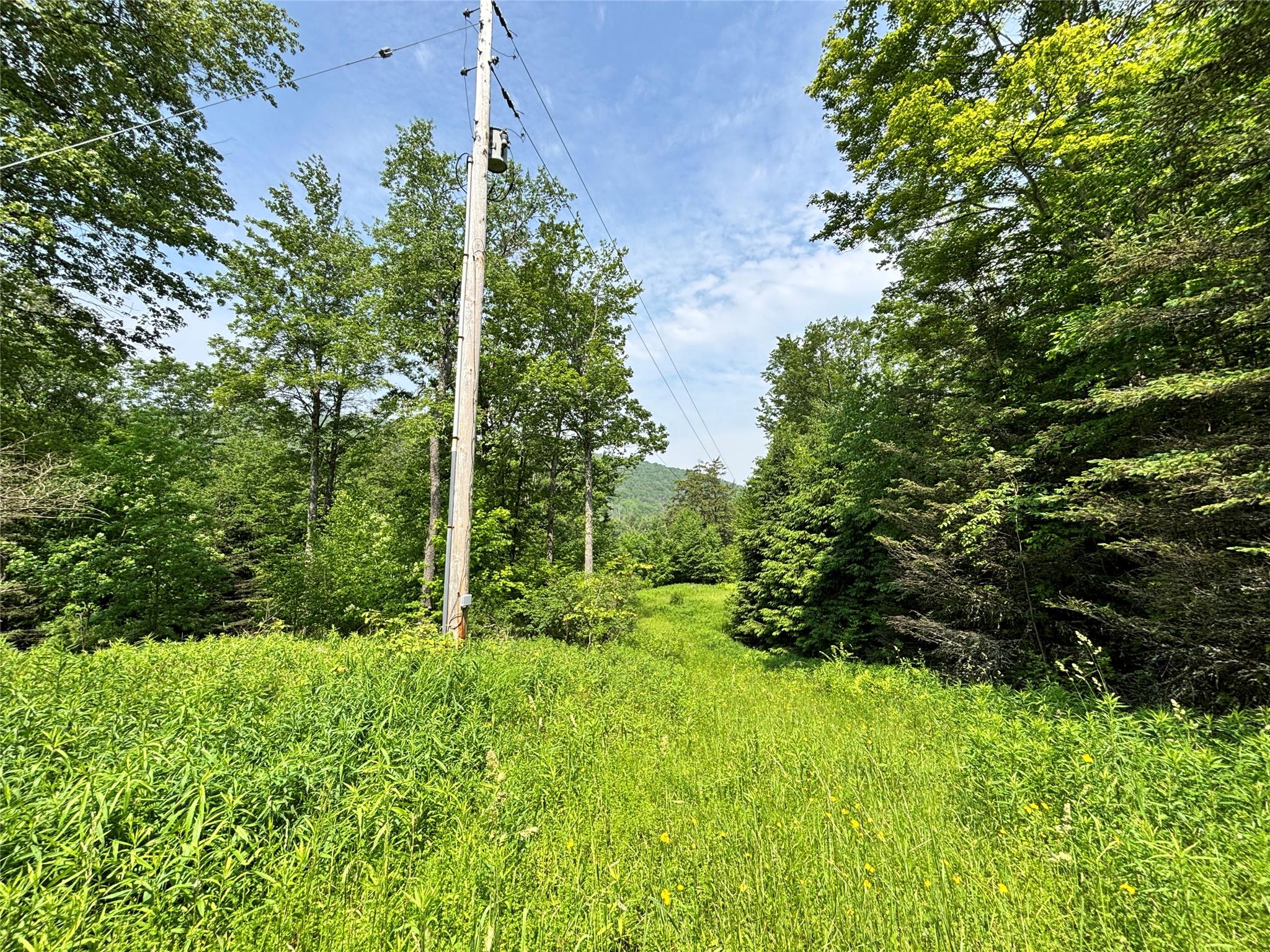 #4 photo, 16 Indian Summer Road, 紐約州 Deposit , NY 13754