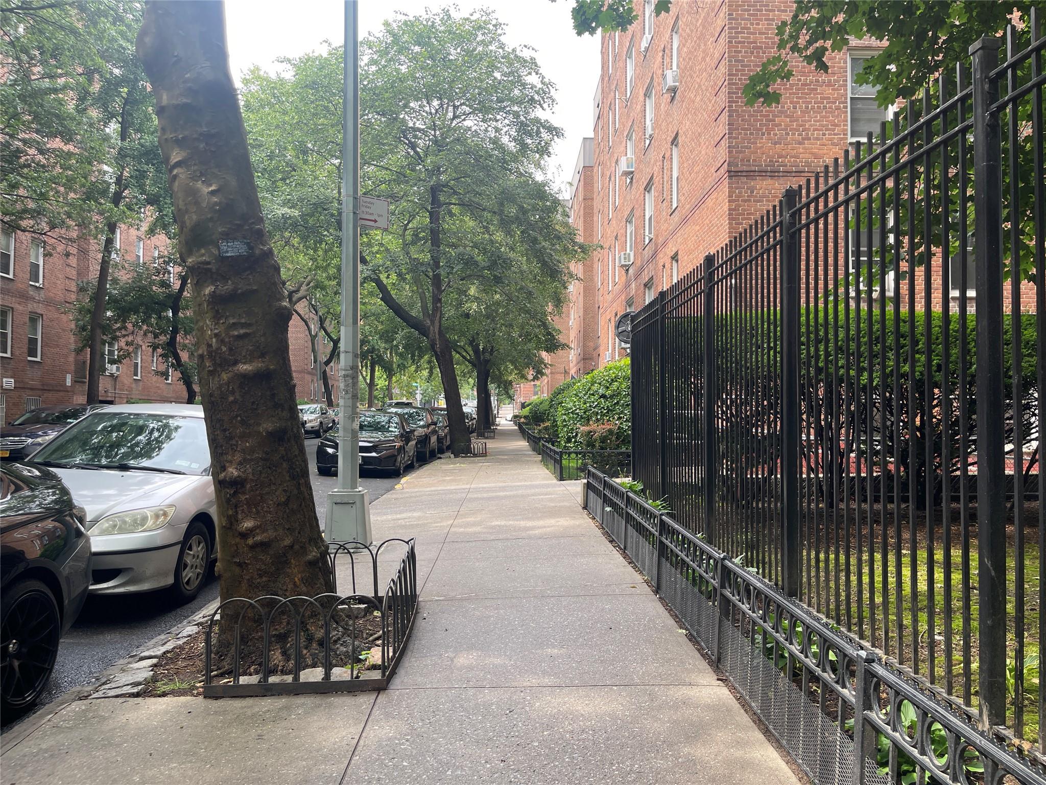 #16 photo, 1480 Thieriot Ave, Bronx , NY 10460