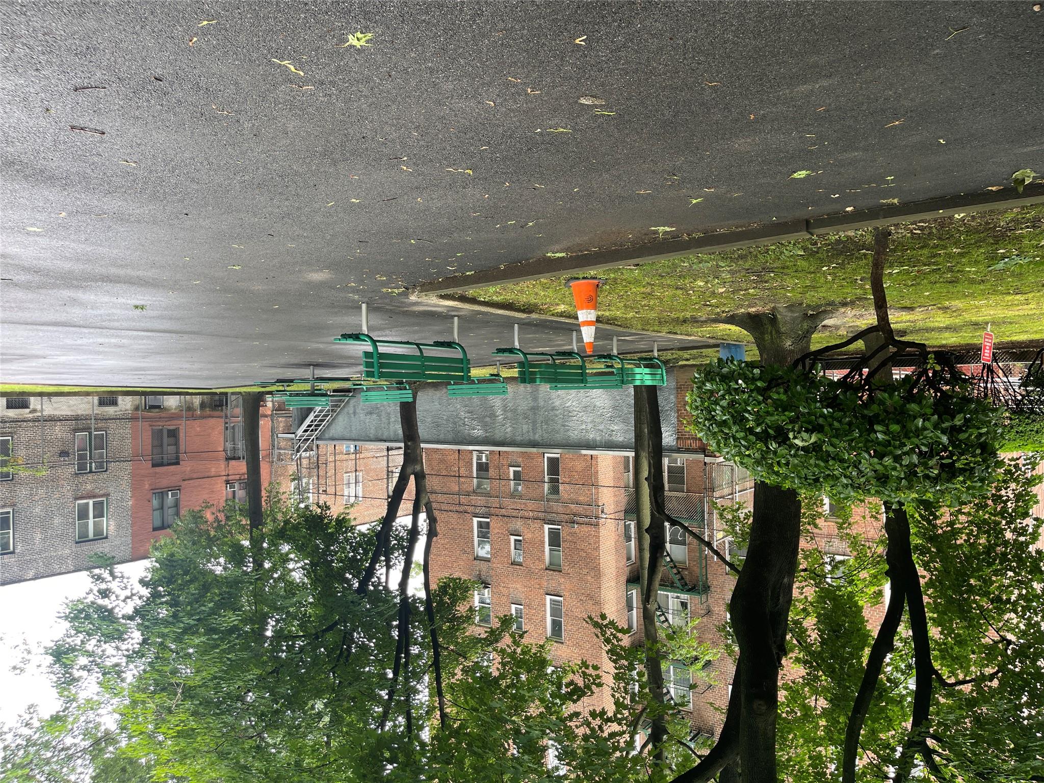 #19 photo, 1480 Thieriot Ave, Bronx , NY 10460