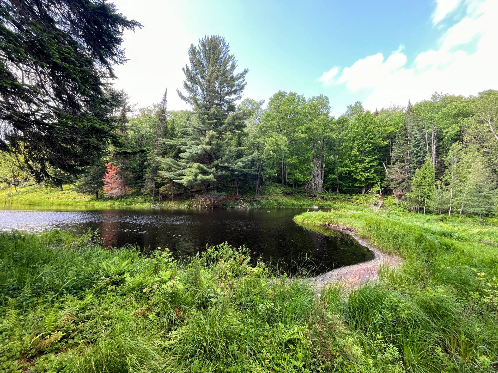 #44 photo, 538 Tooley Pond Rd, Cranberry Lake , NY 12927