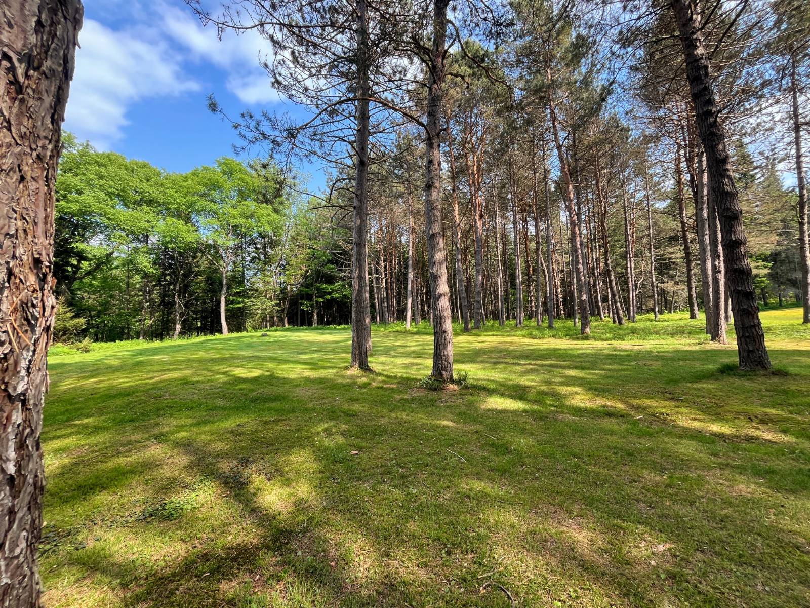 #47 photo, 538 Tooley Pond Rd, Cranberry Lake , NY 12927