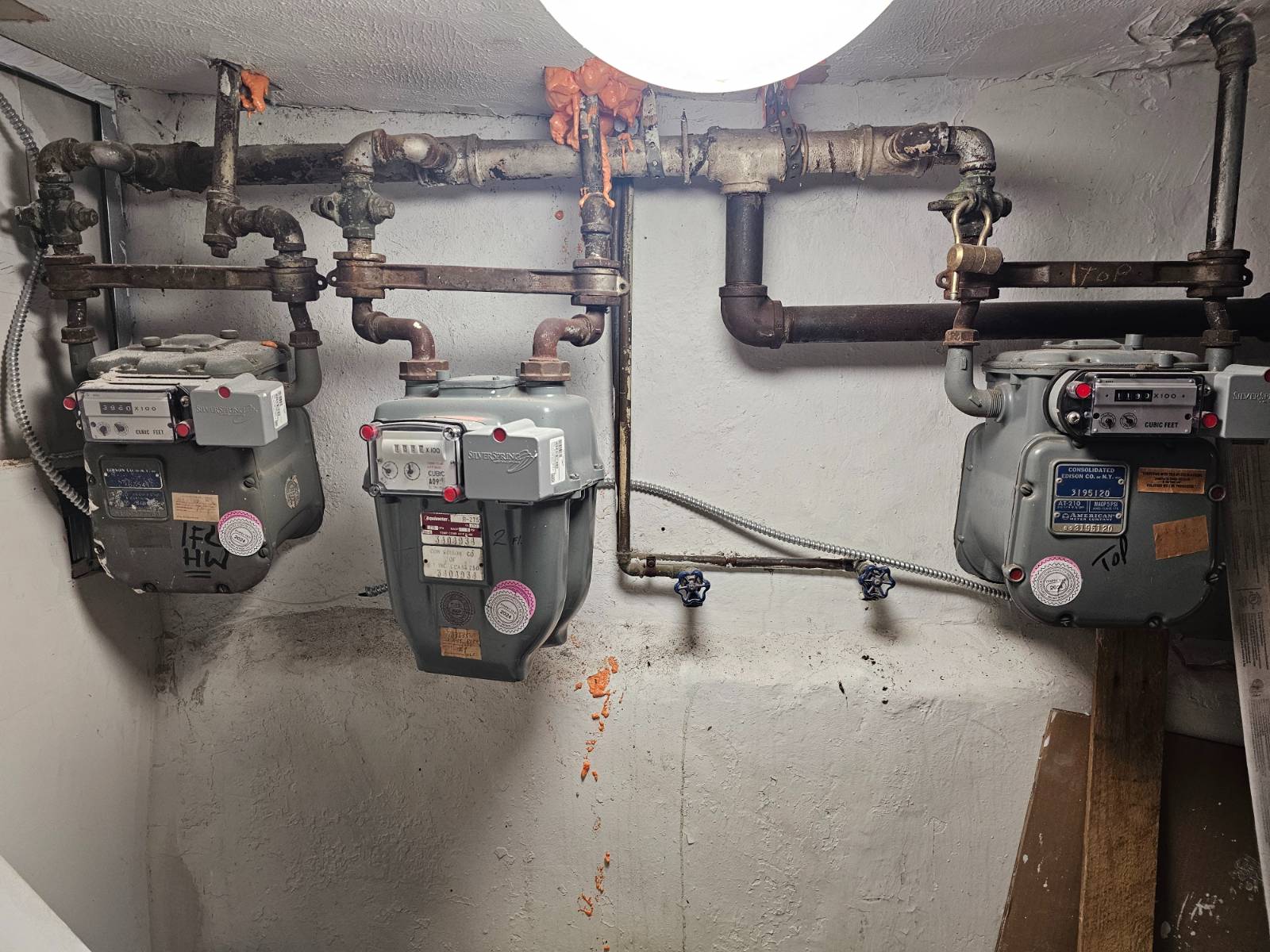 #9 photo, 3054 Barker Ave, ブロンクス区 East Bronx , NY 10467