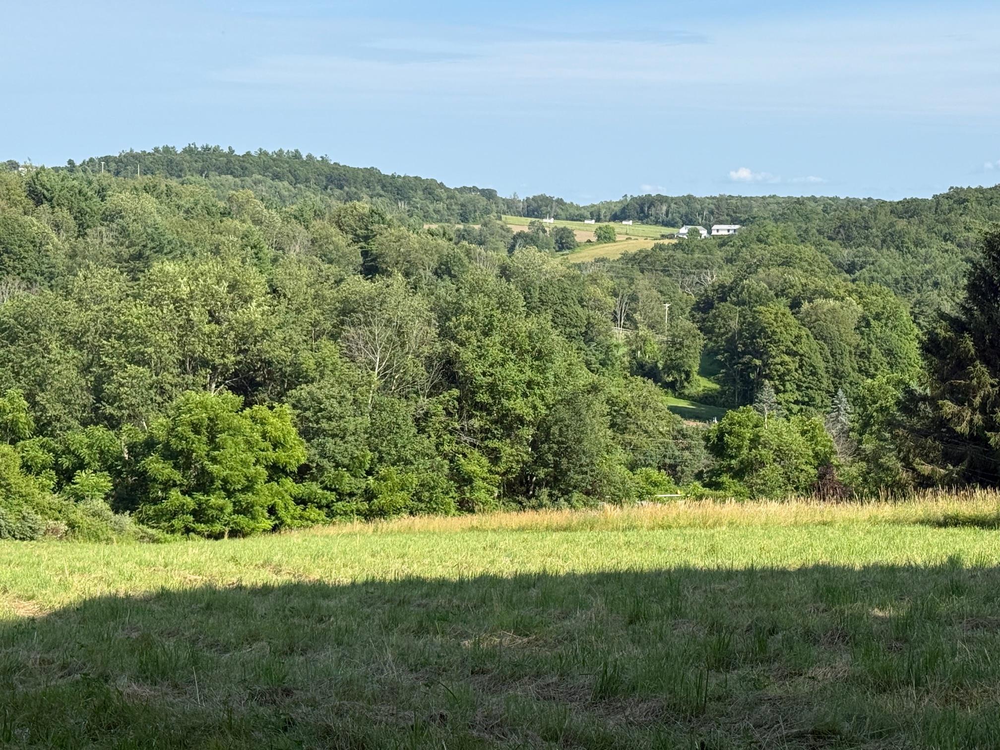 #10 photo, Smithfield Road, Millerton , NY 12546