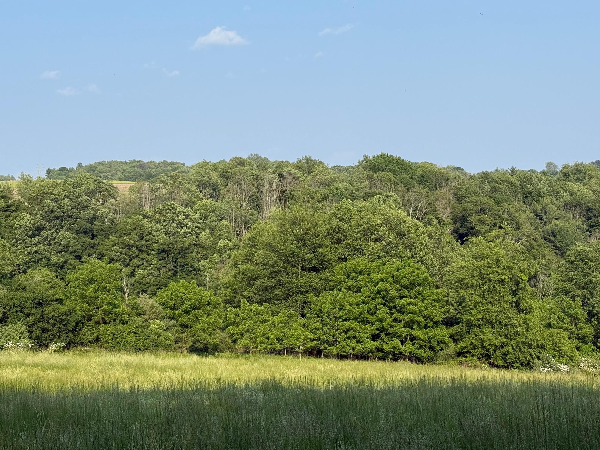 #4 photo, Smithfield Road, Millerton , NY 12546