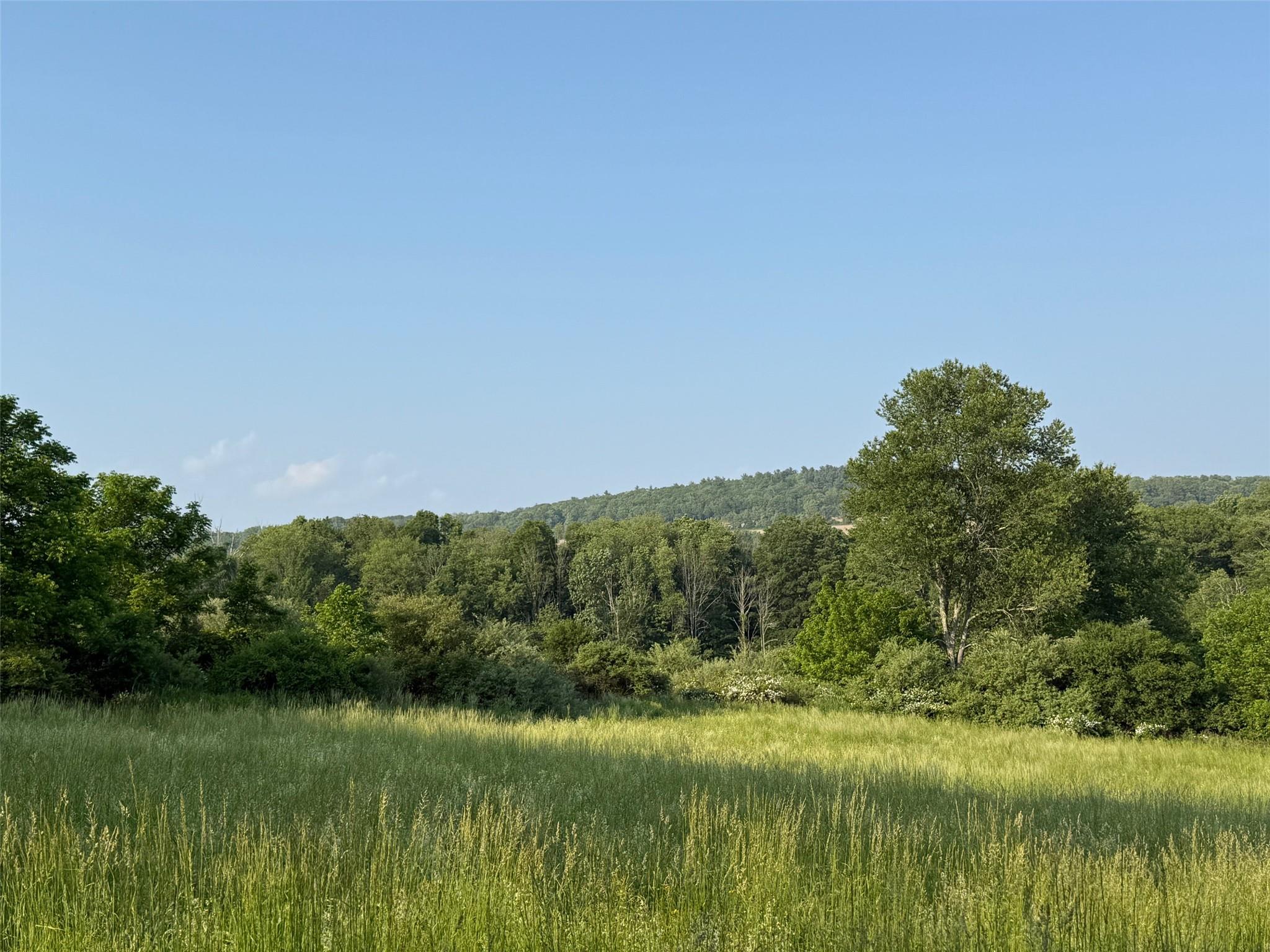 #5 photo, Smithfield Road, Millerton , NY 12546