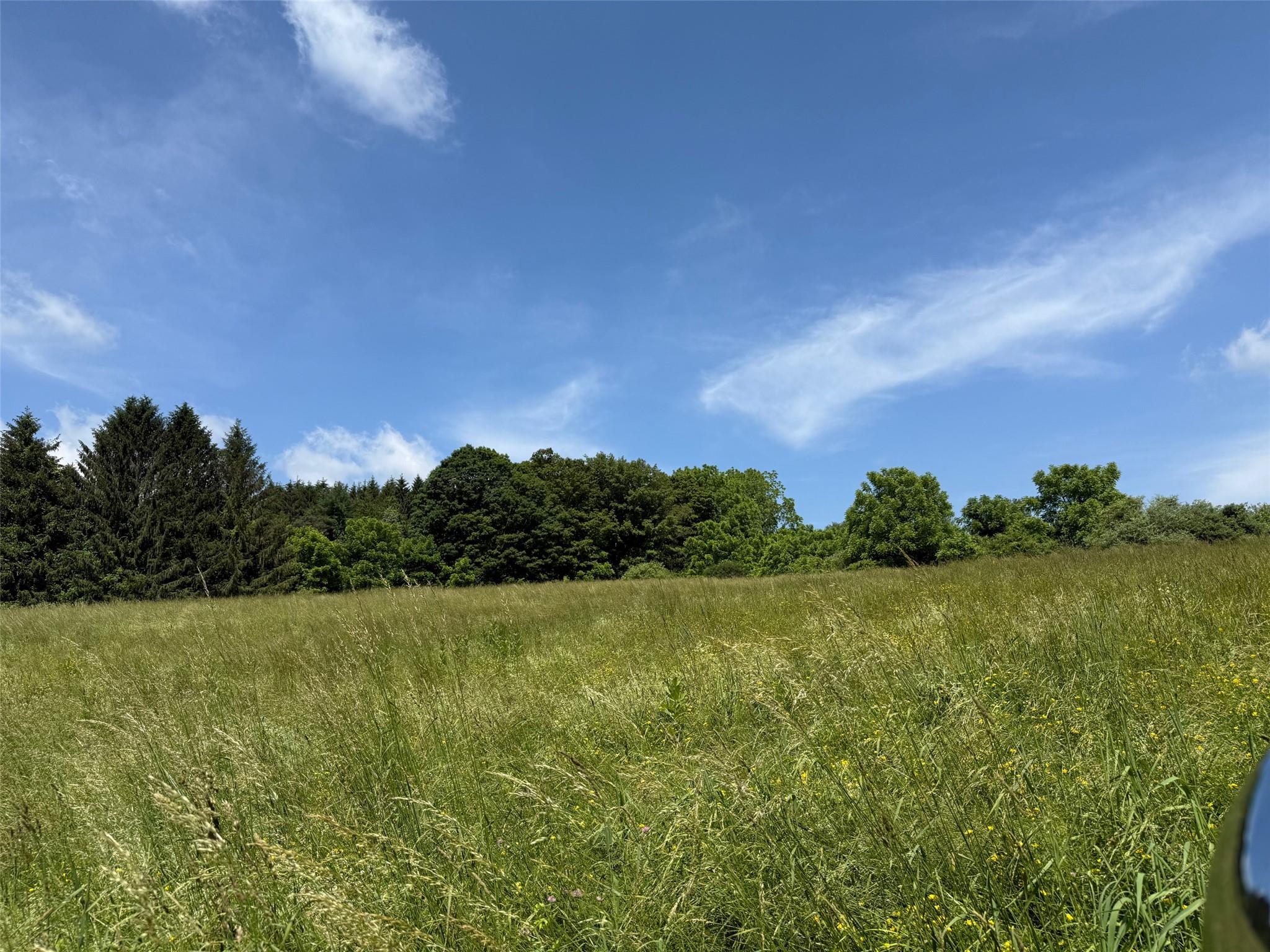 #6 photo, Smithfield Road, Millerton , NY 12546