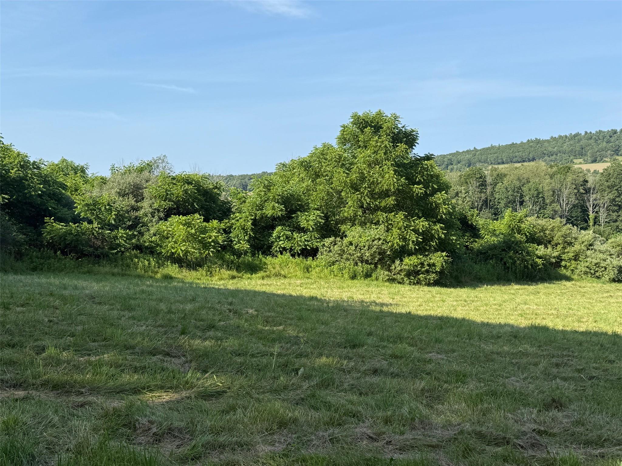 #7 photo, Smithfield Road, Millerton , NY 12546