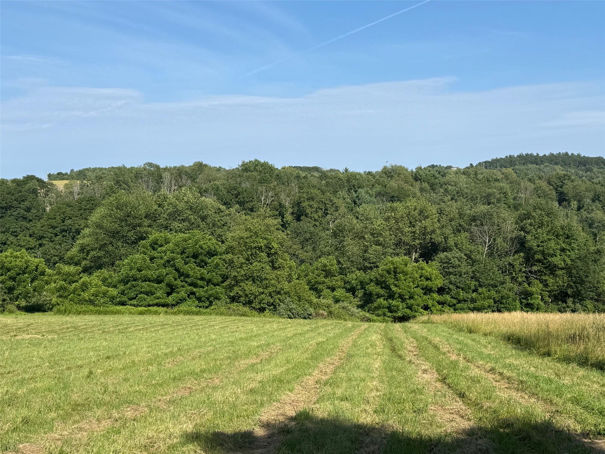 #8 photo, Smithfield Road, Millerton , NY 12546