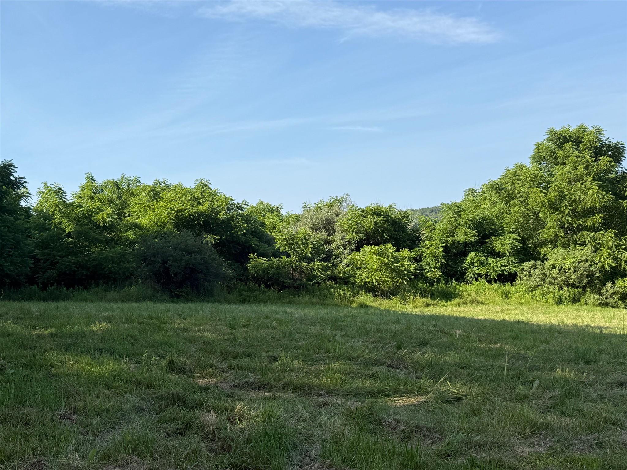 #9 photo, Smithfield Road, Millerton , NY 12546