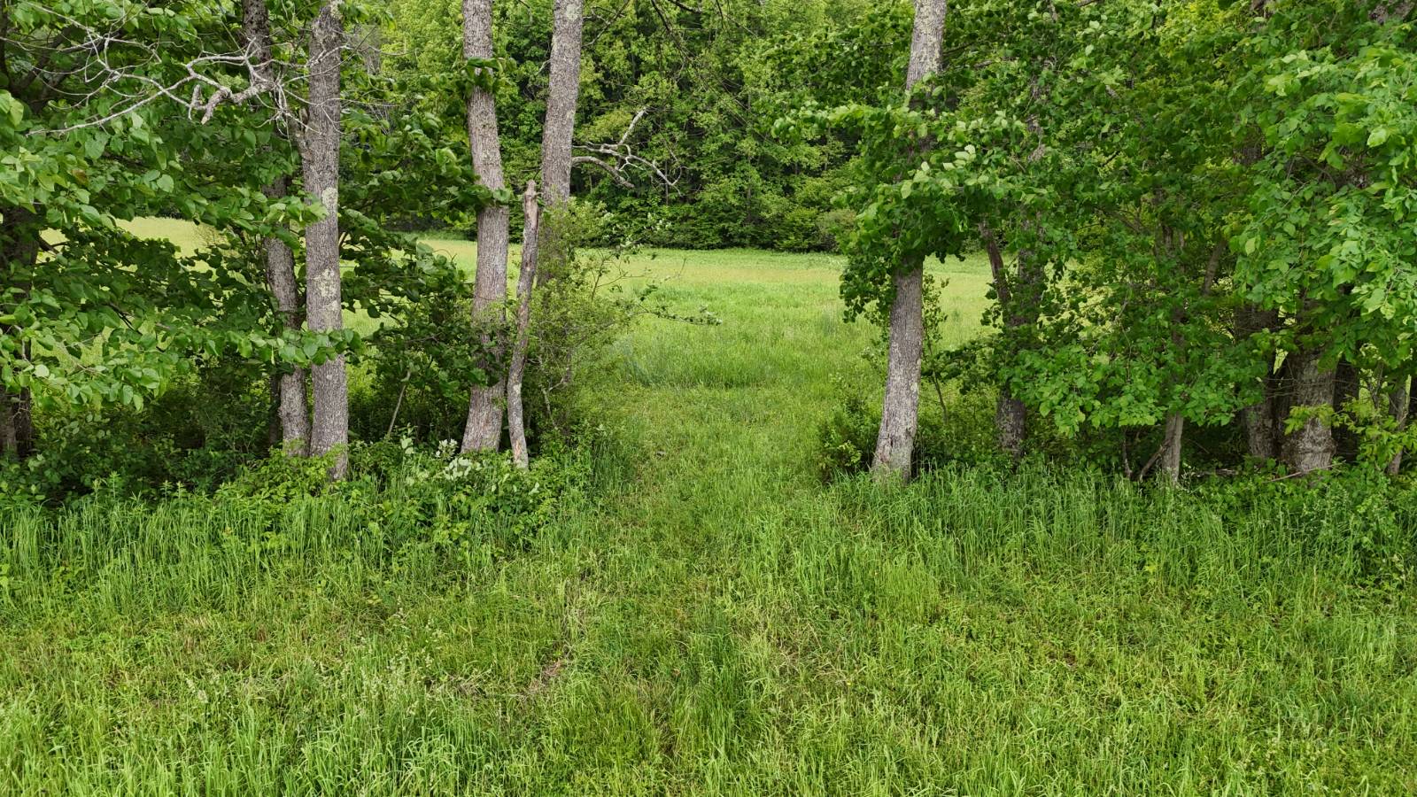 #17 photo, 192 St Rt 13, Williamstown , NY 13493