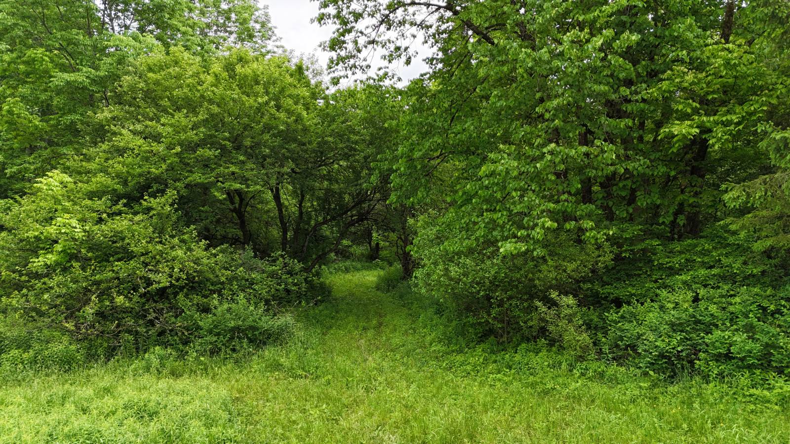 #20 photo, 192 St Rt 13, Williamstown , NY 13493