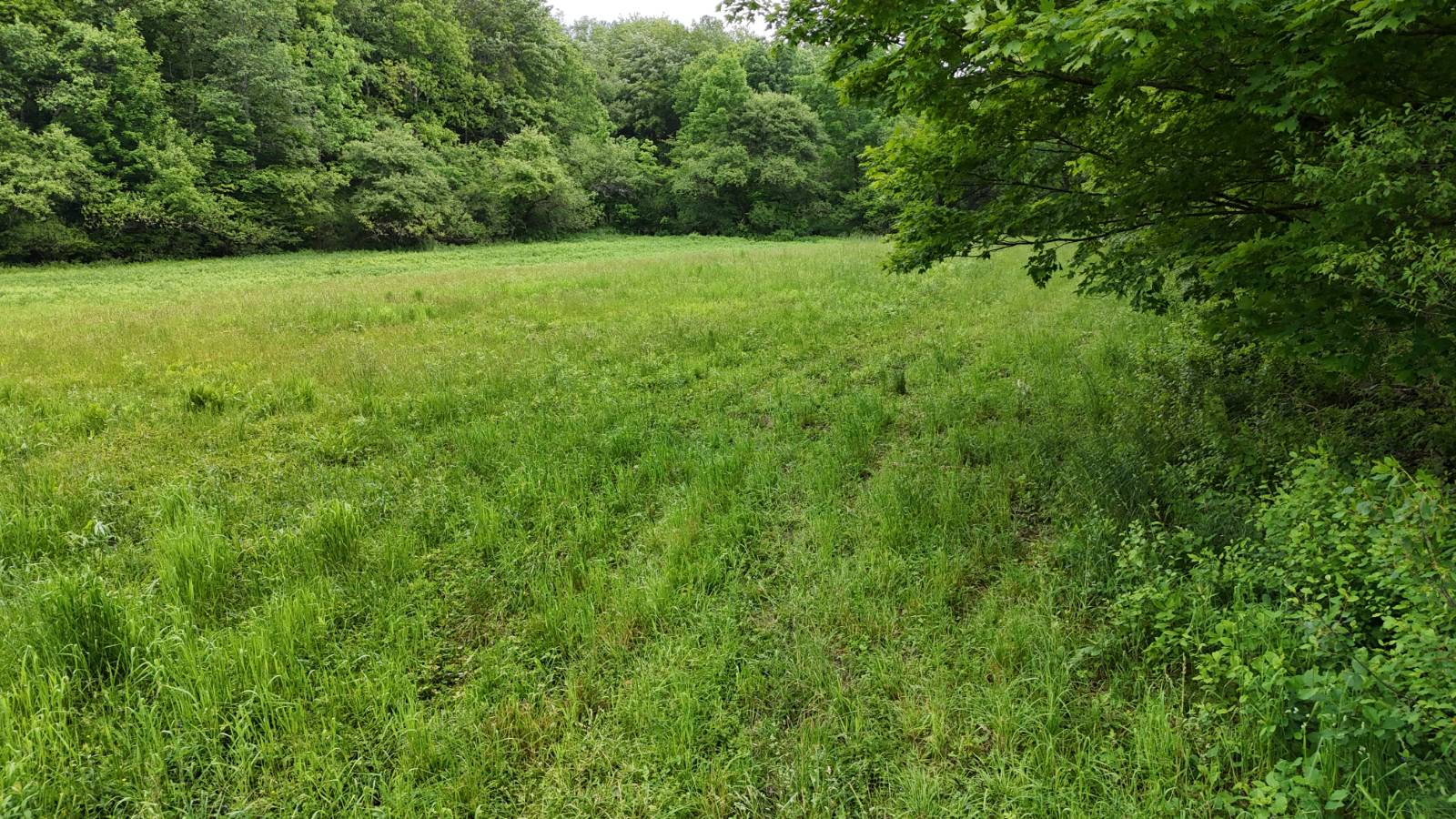 #21 photo, 192 St Rt 13, Williamstown , NY 13493